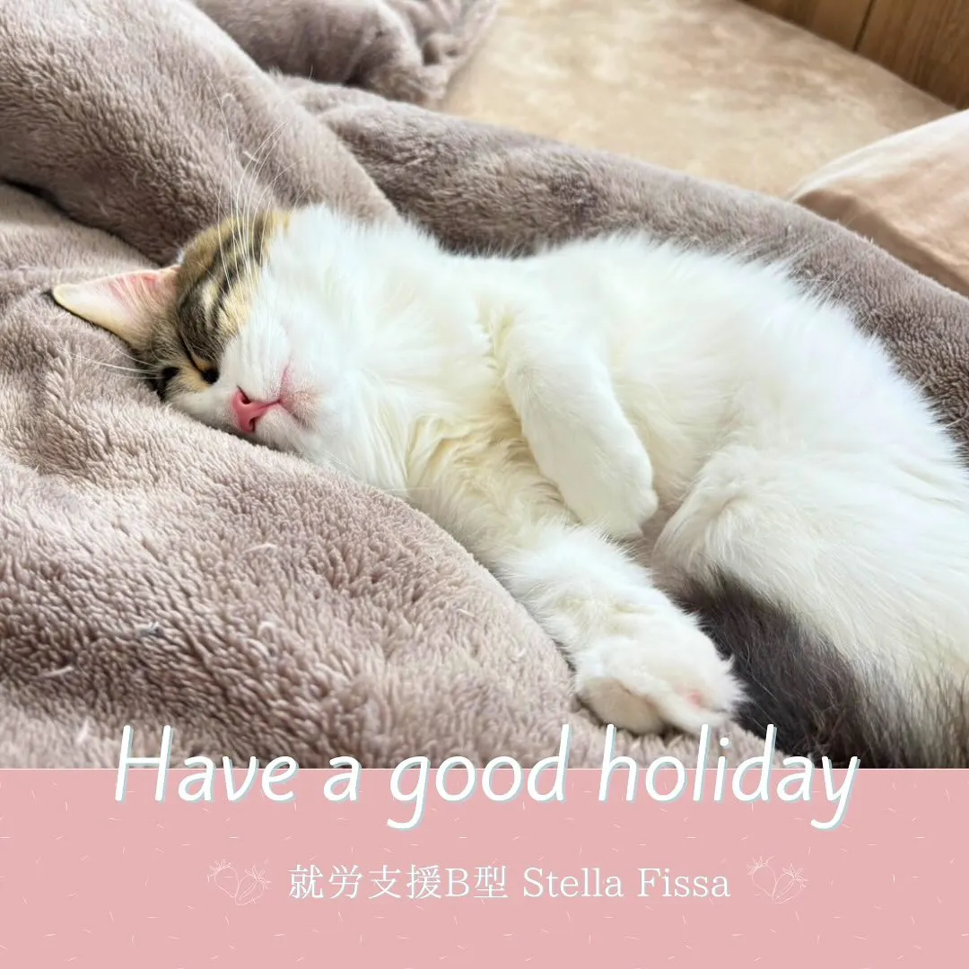 【Stella Fissaは5/7より開所です✨】